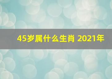 45岁属什么生肖 2021年